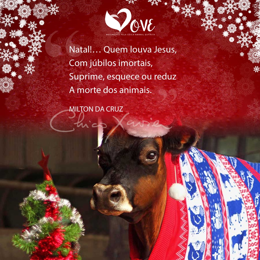 Card #04: “Natal!… Quem louva Jesus, Com júbilos imortais, Suprime, esquece  ou reduz, A morte dos animais” – MOVE