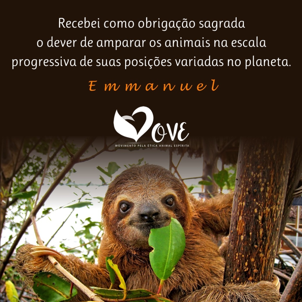 Vegan pelos animais, pelo planeta, pela vida! <3